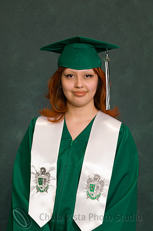 ruiz_sage_cg_120